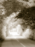 Road in Autumn