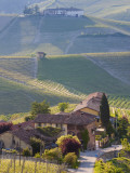 Hillsides Covered with Vineyards, Nr Castiglione Falletto, Piedmont, Italy