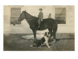 Farmboy with Cat on Horse and Dog