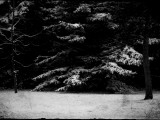 The Gathering