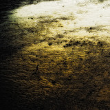 A Lone Figure of a Child on Beach