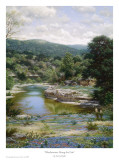 Buy Bluebonnets Along The Frio at AllPosters.com