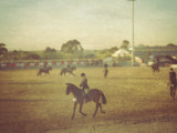 Carnival #7