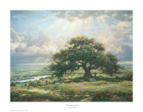 Buy Everlasting Arms at AllPosters.com