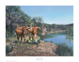 Lone Star Legacy