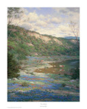 Buy Texas Spring at AllPosters.com