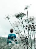 Lonely Woman