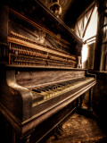 Musical Dreams