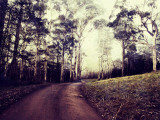 Hilltop