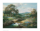 Buy Hill Country Morning at AllPosters.com