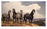 Buy Amazing Grays IV at AllPosters.com