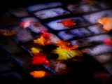 Buy Plajo at AllPosters.com