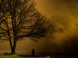Buy Jando at AllPosters.com