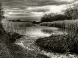 Flood Lines