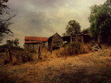 Shack #9