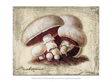 Buy Fresco Mushroom at AllPosters.com