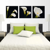 Buy Night Callas at AllPosters.com