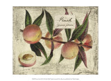 Buy Fresco Fruit IX at AllPosters.com