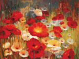 Meadow Poppies I