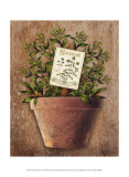 Buy Potted Herbs IV at AllPosters.com