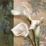 Buy Lily Fair at AllPosters.com