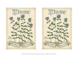 Buy 2-Up Seed Packets I at AllPosters.com