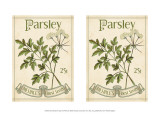 Buy 2-Up Seed Packets II at AllPosters.com