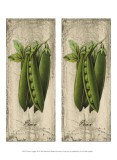 Buy 2-Up Fresco Veggies XII at AllPosters.com