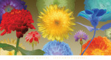Sunflower Fireworks