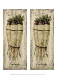 Buy 2-Up Fresco Veggies XIV at AllPosters.com