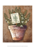 Buy Potted Herbs II at AllPosters.com