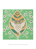 Spring Owl