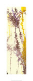 Liquid Light II