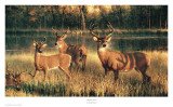 Buy Shadow Time at AllPosters.com