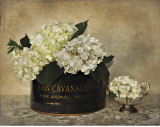 Buy Park Avenue Hydrangea at AllPosters.com