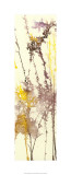 Liquid Light I