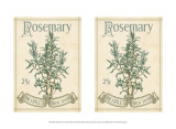 Buy 2-Up Seed Packets IV at AllPosters.com