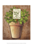 Buy Potted Herbs III at AllPosters.com