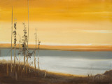 Early Morning II