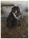 Buy A Friend in the Marsh at AllPosters.com