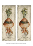 Buy 2-Up Fresco Veggies VI at AllPosters.com