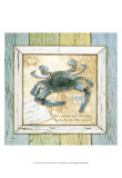 Sea Treasures VII
