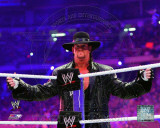 World Wrestling Entertainment - The Undertaker WrestleMania XXVII Action