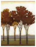 Arboreal Grove II