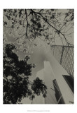 Buy Skyrise View III at AllPosters.com