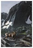 Buy Mountainside Elk I at AllPosters.com