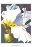 Buy Blue Iris II at AllPosters.com