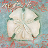 Buy Sand Dollar (Refresh) at AllPosters.com