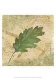 Buy Antiqued Leaves II at AllPosters.com