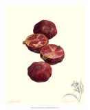 Buy Pomegranate at AllPosters.com
